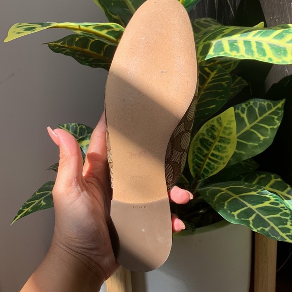 Coach Monogram NWOT mule slides - Picture 10 of 12